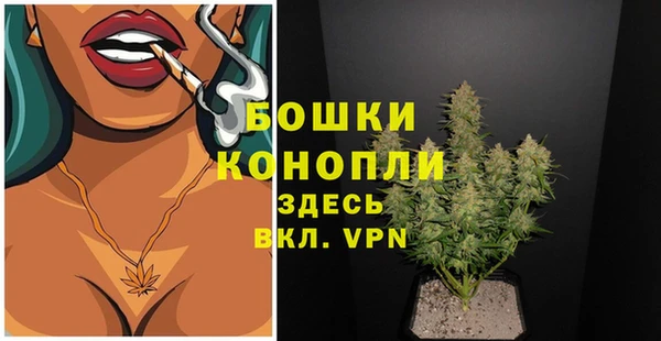 стаф Белоозёрский