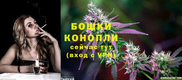 ПСИЛОЦИБИНОВЫЕ ГРИБЫ Беломорск
