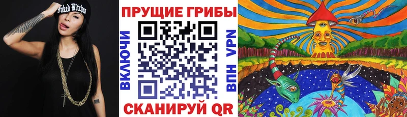ОМГ ОМГ рабочий сайт  Борисоглебск  Галлюциногенные грибы Psilocybe 
