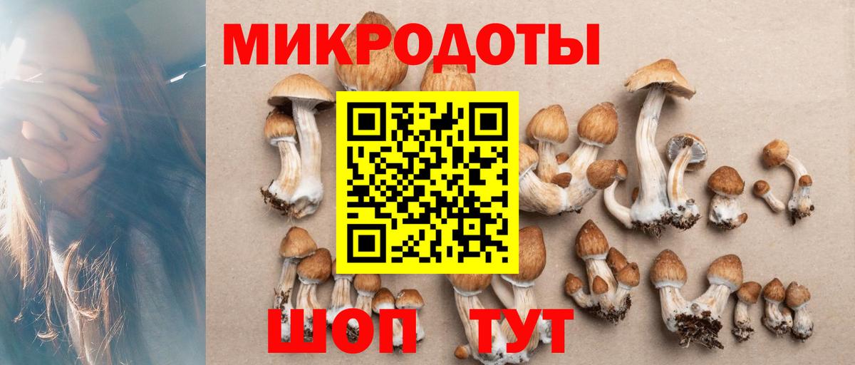 Галлюциногенные грибы мицелий  Псилоцибиновые грибы Cubensis  Борисоглебск  Вход с VPN 